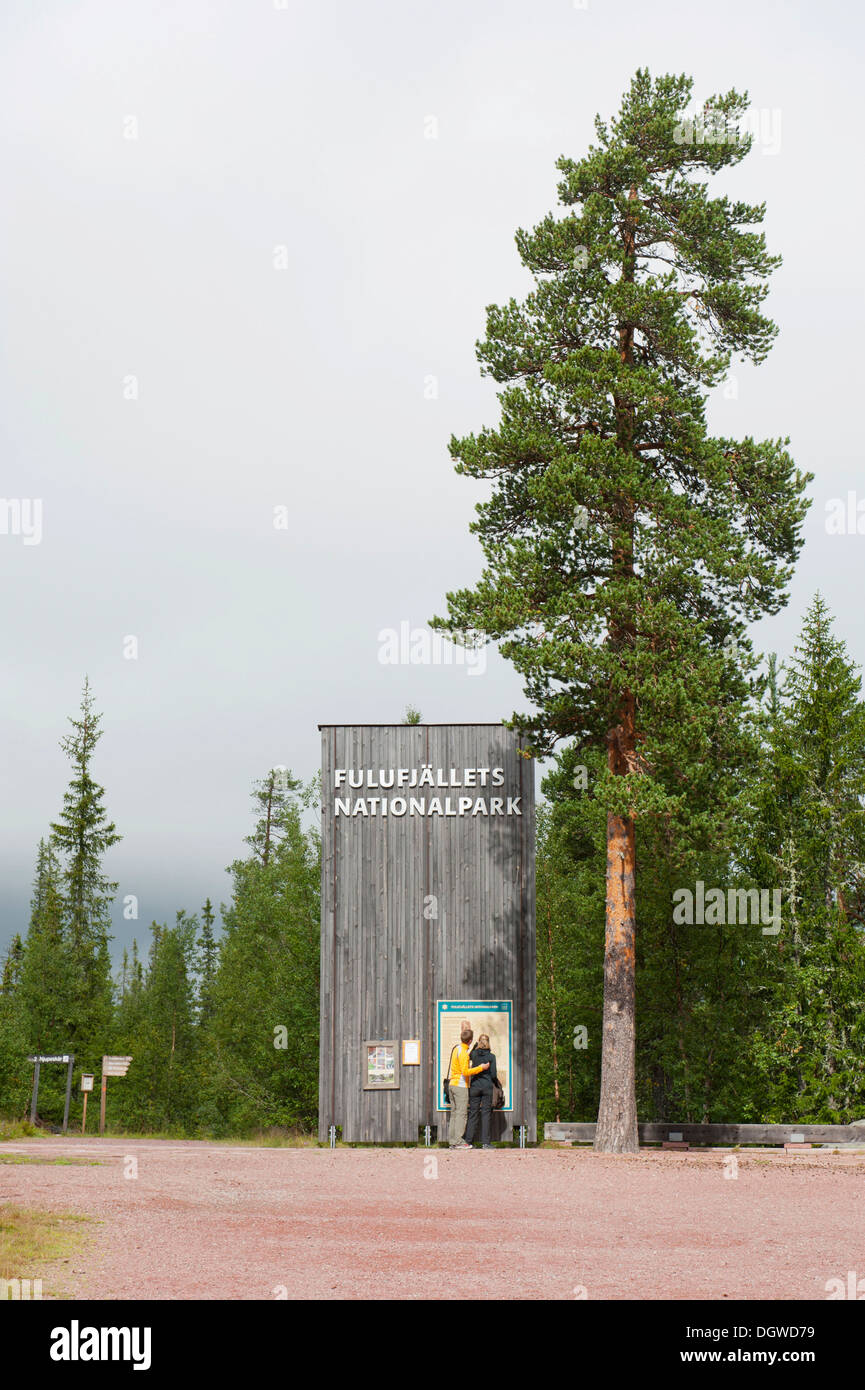 Neben einer alten Kiefer, Föhre (Pinus Sylvestris), Fulufjaellets National Park in der Nähe von Saerna, Provinz Dalarna, Schweden Stockfoto
