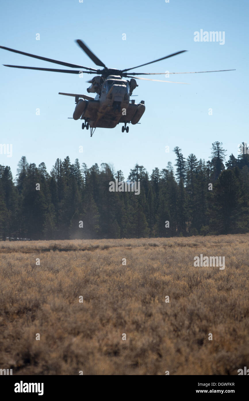 Ein US-Marinekorps CH-53E Super Stallion Transporthubschrauber mit Marine schwere Hubschrauber Geschwader 466 (HMH-466), Marine Aircr Stockfoto