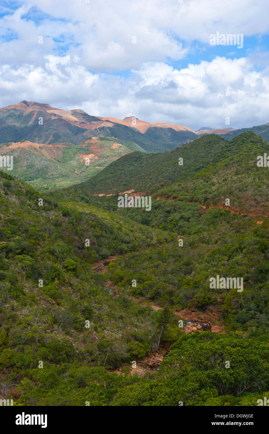 Grüne Hügel in der Mitte des Grande Terre, Grande-Terre, Neu-Kaledonien, Frankreich Stockfoto