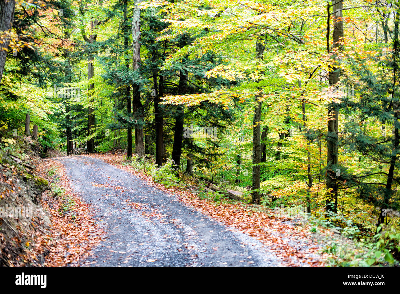 Herbstlaub Skaneateles New York // SKANEATELES, New York, Vereinigte Staaten – die lebhaften Herbstfarben von Upstate New York in der Nähe von Skaneateles schaffen einen atemberaubenden Teppich aus roten, orangen und gelben Blättern. Diese malerische Landschaft vor der ruhigen Kulisse des Skaneateles Lake verkörpert die Schönheit des Herbstes in der Region Finger Lakes. Die Gegend ist bekannt für ihre malerischen Fahrten, Outdoor-Aktivitäten und atemberaubende Ausblicke. Stockfoto