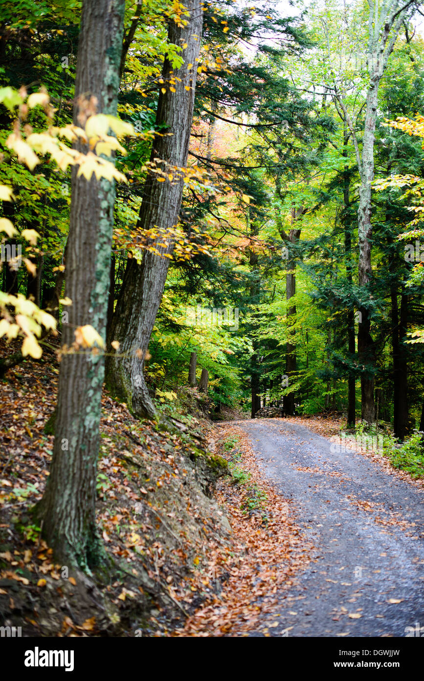 Herbstlaub Skaneateles New York // SKANEATELES, New York, Vereinigte Staaten – die lebhaften Herbstfarben von Upstate New York in der Nähe von Skaneateles schaffen einen atemberaubenden Teppich aus roten, orangen und gelben Blättern. Diese malerische Landschaft vor der ruhigen Kulisse des Skaneateles Lake verkörpert die Schönheit des Herbstes in der Region Finger Lakes. Die Gegend ist bekannt für ihre malerischen Fahrten, Outdoor-Aktivitäten und atemberaubende Ausblicke. Stockfoto