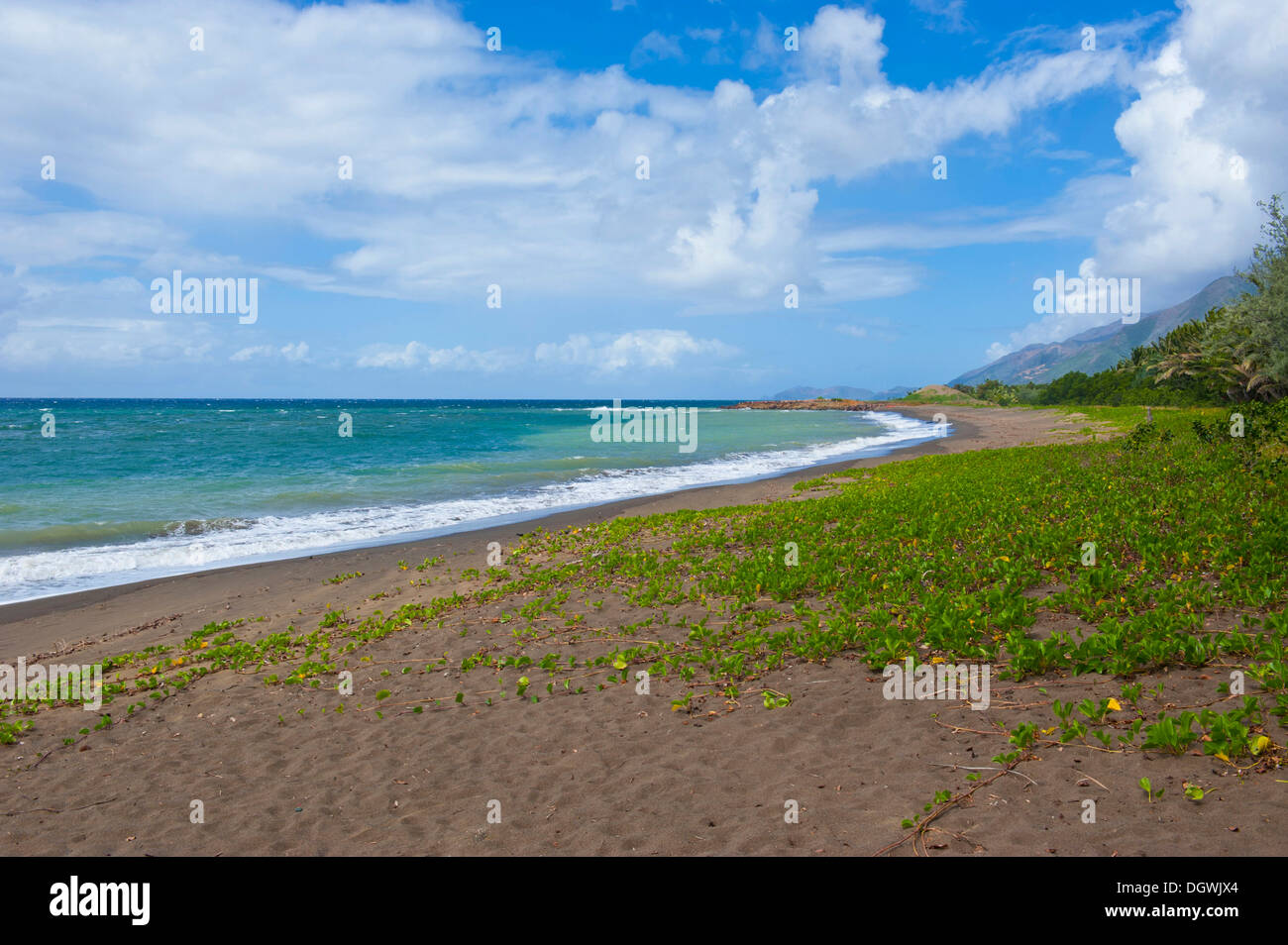 Strand, Küste, Grande Terre, Neu-Kaledonien, Frankreich Stockfoto