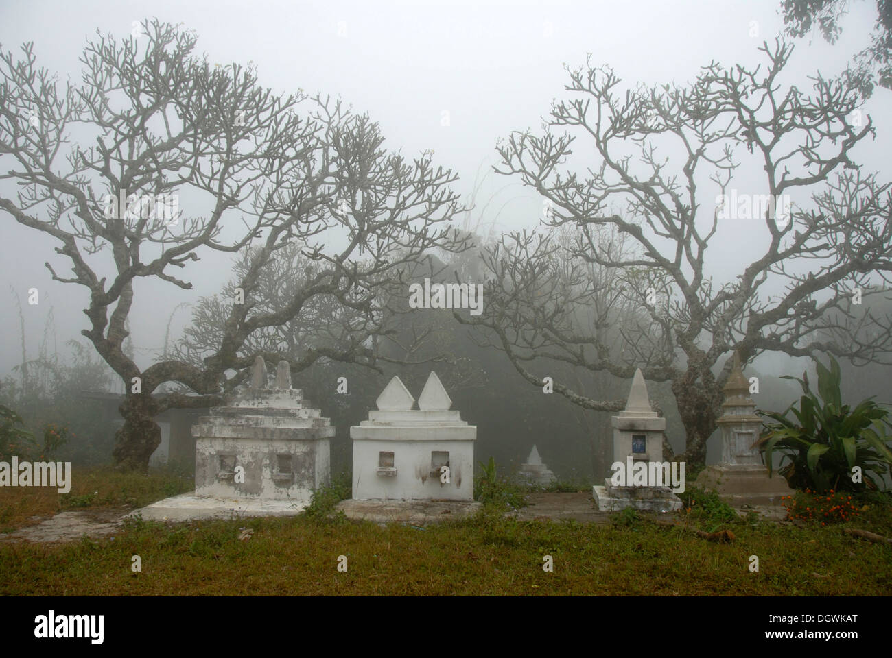 Buddhismus und Vorfahren anbeten, unheimliches Niederlassungen in Nebel über Gräber, Wat Kaew Phongsali Provinz, Laos, Südostasien, Asien Stockfoto
