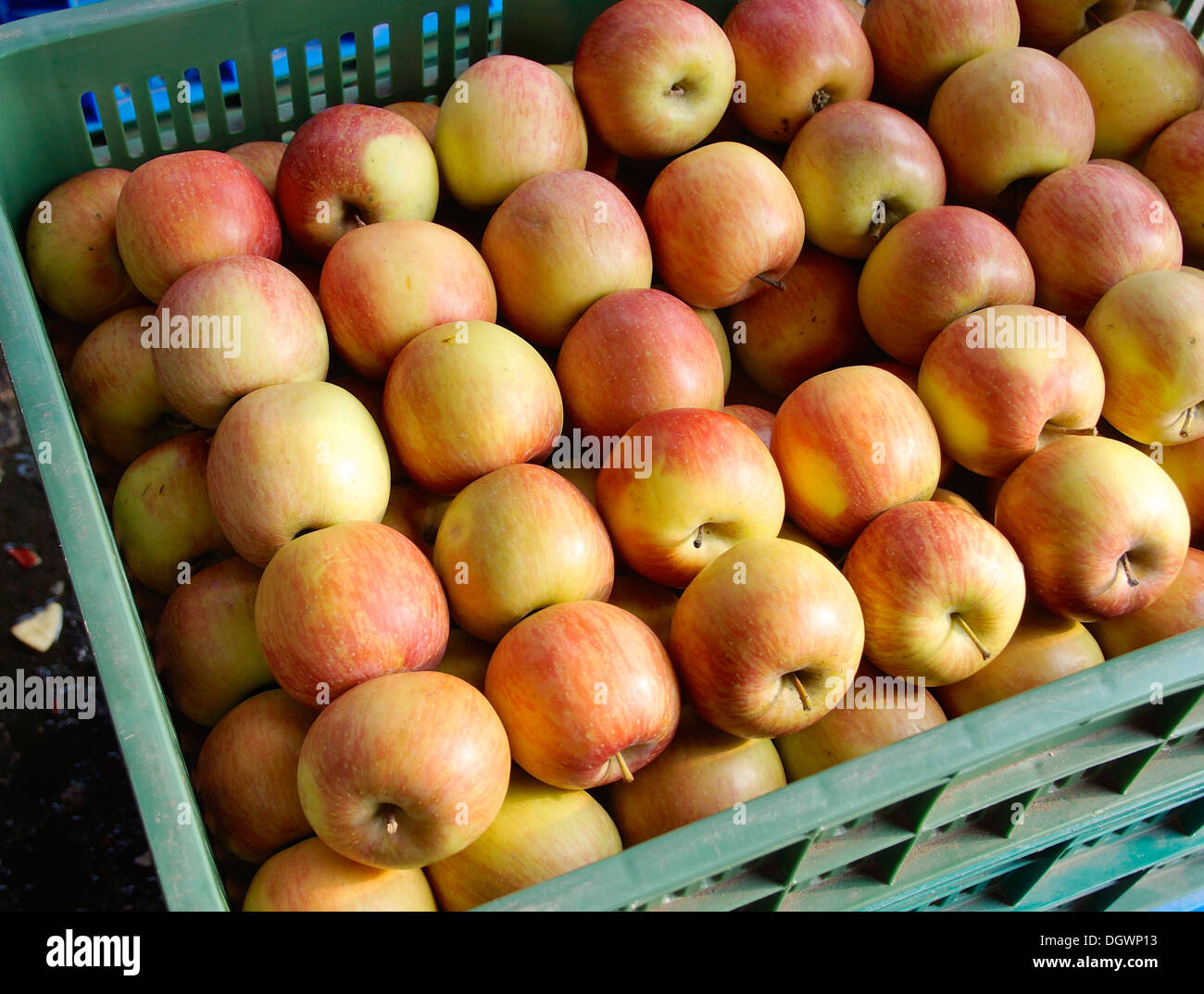 Äpfel zum Verkauf auf Markt Stockfoto