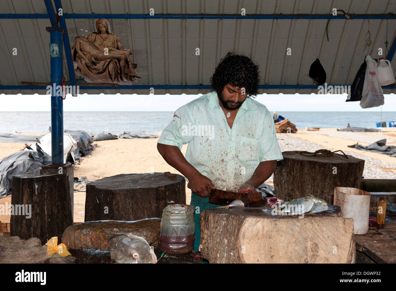 Fischhändler, Fischmarkt, Strand, Indischer Ozean, Negombo, Sri Lanka Stockfoto