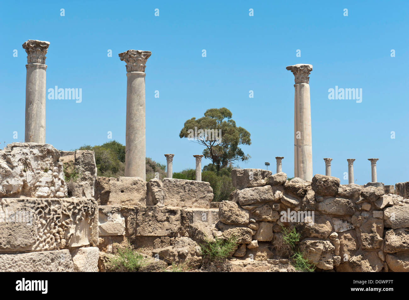 Archäologische Stätte, alte Stadt, Säulen aus dem Gymnasium, Salamis, Bei Famagusta, Gazimagusa, Ammochostos Stockfoto