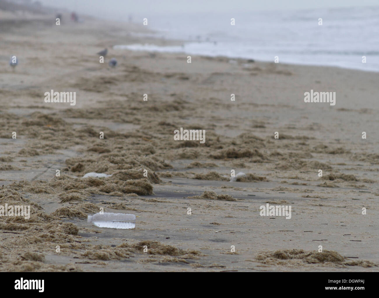 Eine Plastikwasserflasche trashing Strand Stockfoto