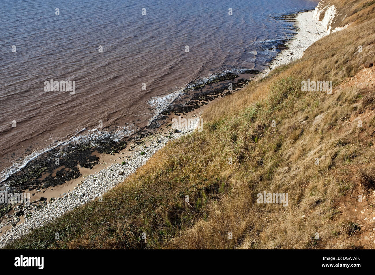 Luftaufnahme von grasbewachsenen Klippen, gekräuselte Wellen treffen einen felsigen Kalkstein-Strand an der Ostküste von Yorkshire Stockfoto