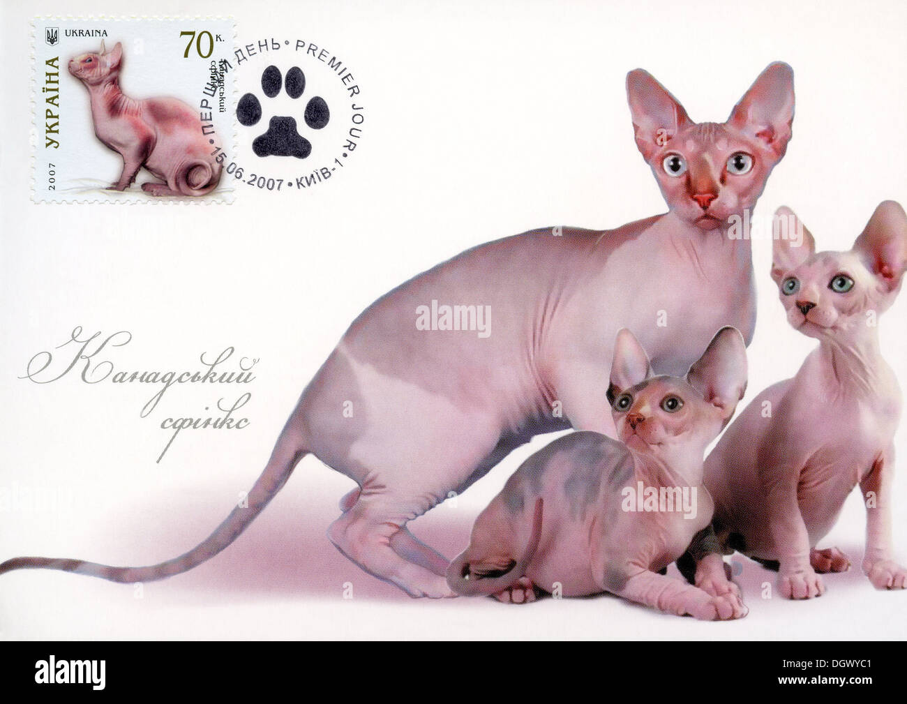 Ukraine-Briefmarke mit Hauskatzen - kanadische Sphynx Katzenrasse Stockfoto