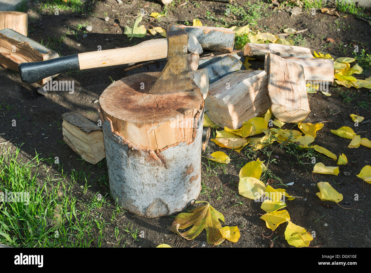 AX Holzhacken auf Hackklotz. Herbst Blätter Stockfoto