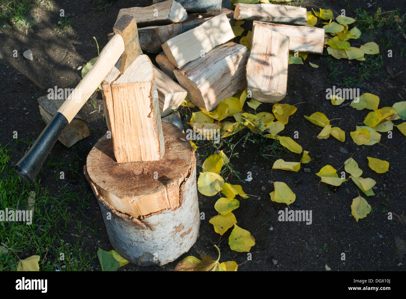 AX Holzhacken auf Hackklotz. Herbst Blätter Stockfoto