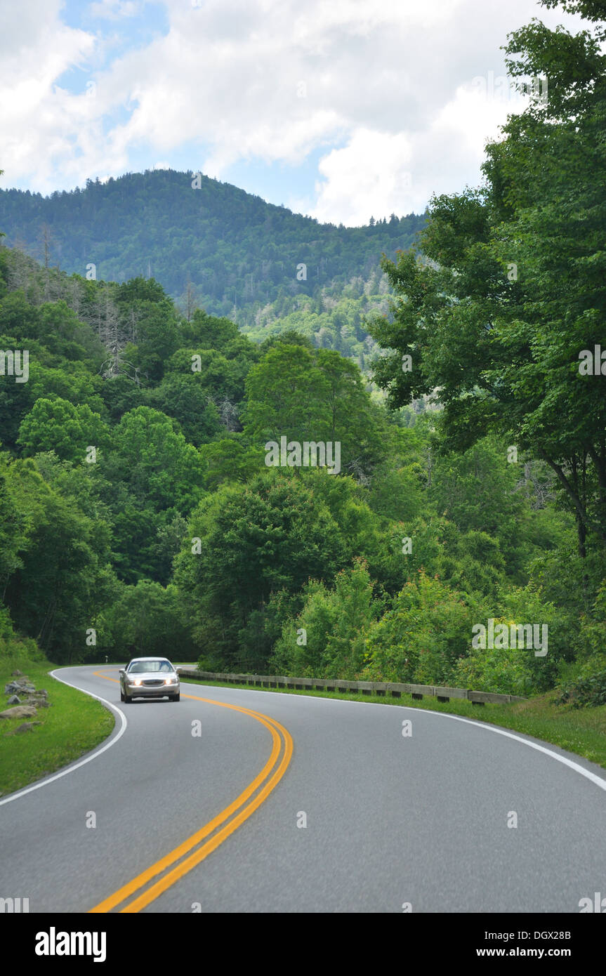 Great Smoky Mountains National Park, Tennessee, USA Stockfoto