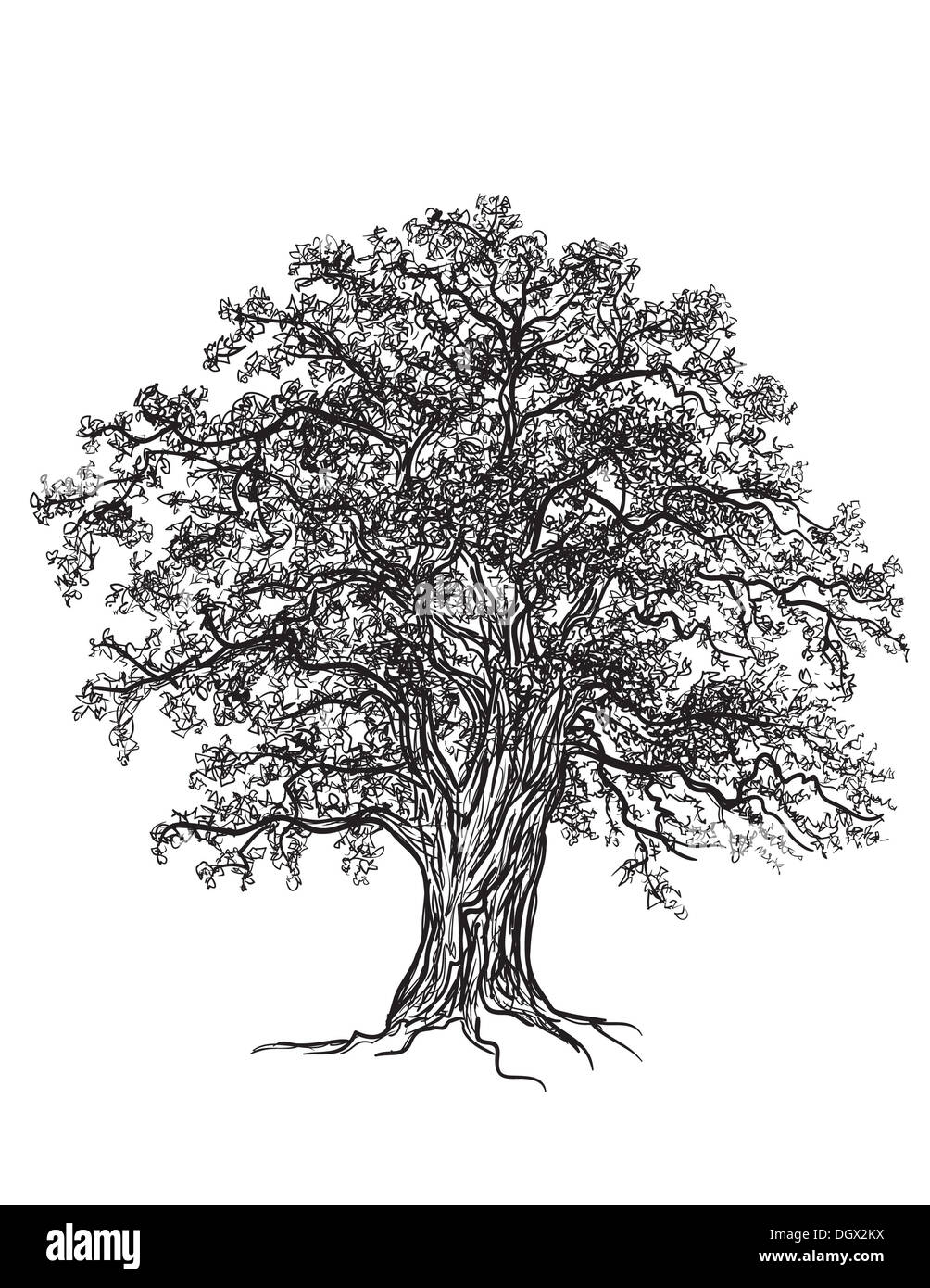Baum Schwarz Weiß Clipart / Baum Ast Clipart Zweig ClipArt Äste Baum