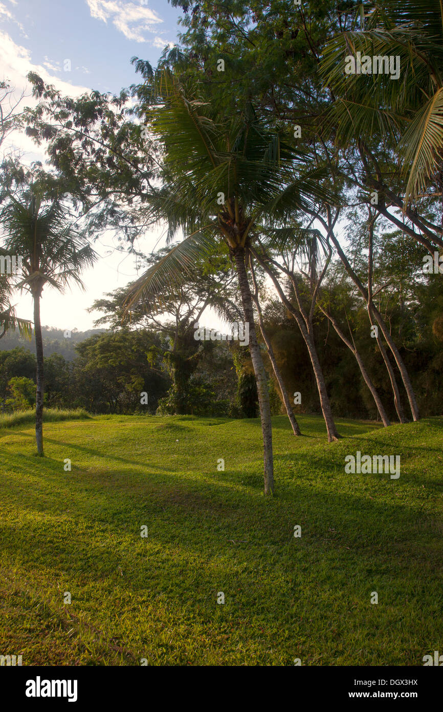 Entspannung vor Ort Rasen Garten Dschungel Bali Indonesien ruhig langsam Sonne Grasbäume Ruhe Stille grün grün anzeigen vista Stockfoto