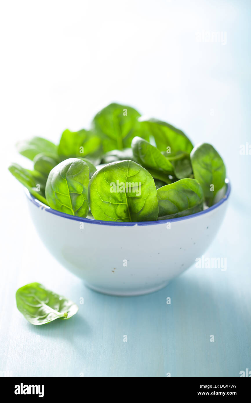 Spinat Pflanze Stockfotos und bilder Kaufen Alamy