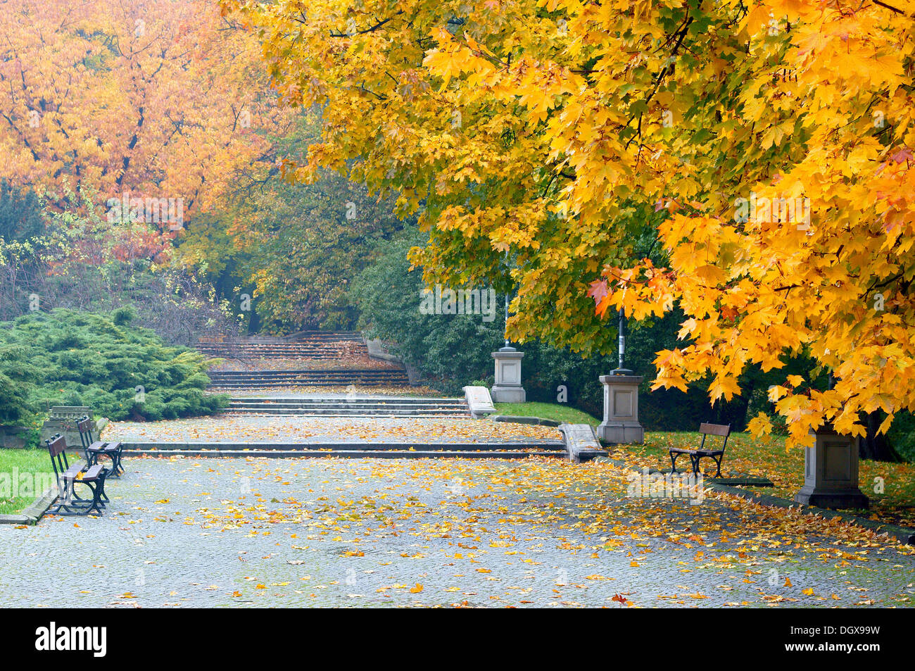 Herbst Park Lane mit bunten Bäumen Stockfoto