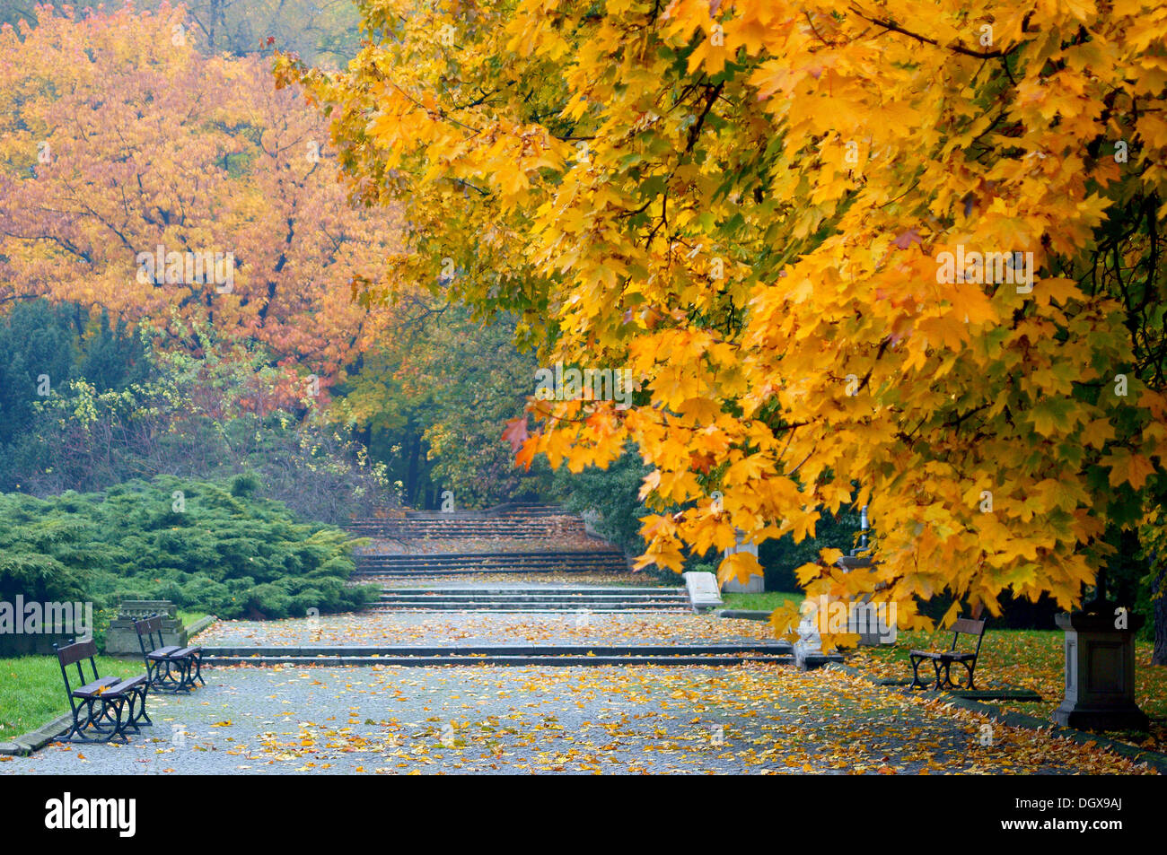 Herbst Park Lane mit bunten Bäumen Stockfoto