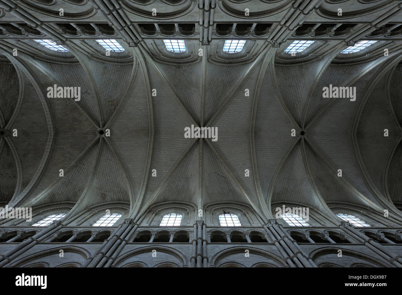 Gewölbte Decke, Kathedrale Notre-Dame, Reims, Frankreich Stockfoto
