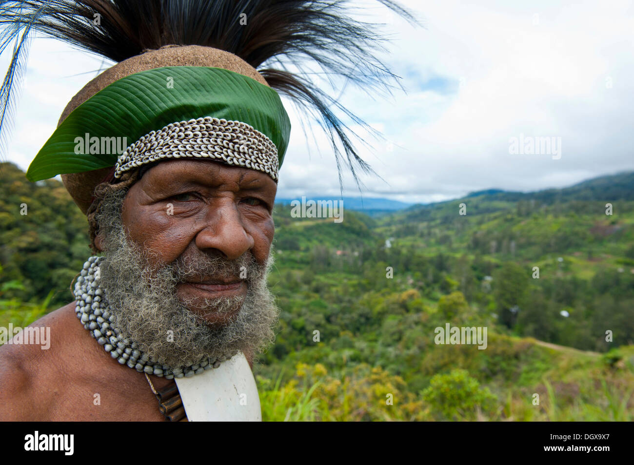 Traditionell gekleidete Stammesführer im Hochland, Paya, Highland, Papua New Guinea Stockfoto