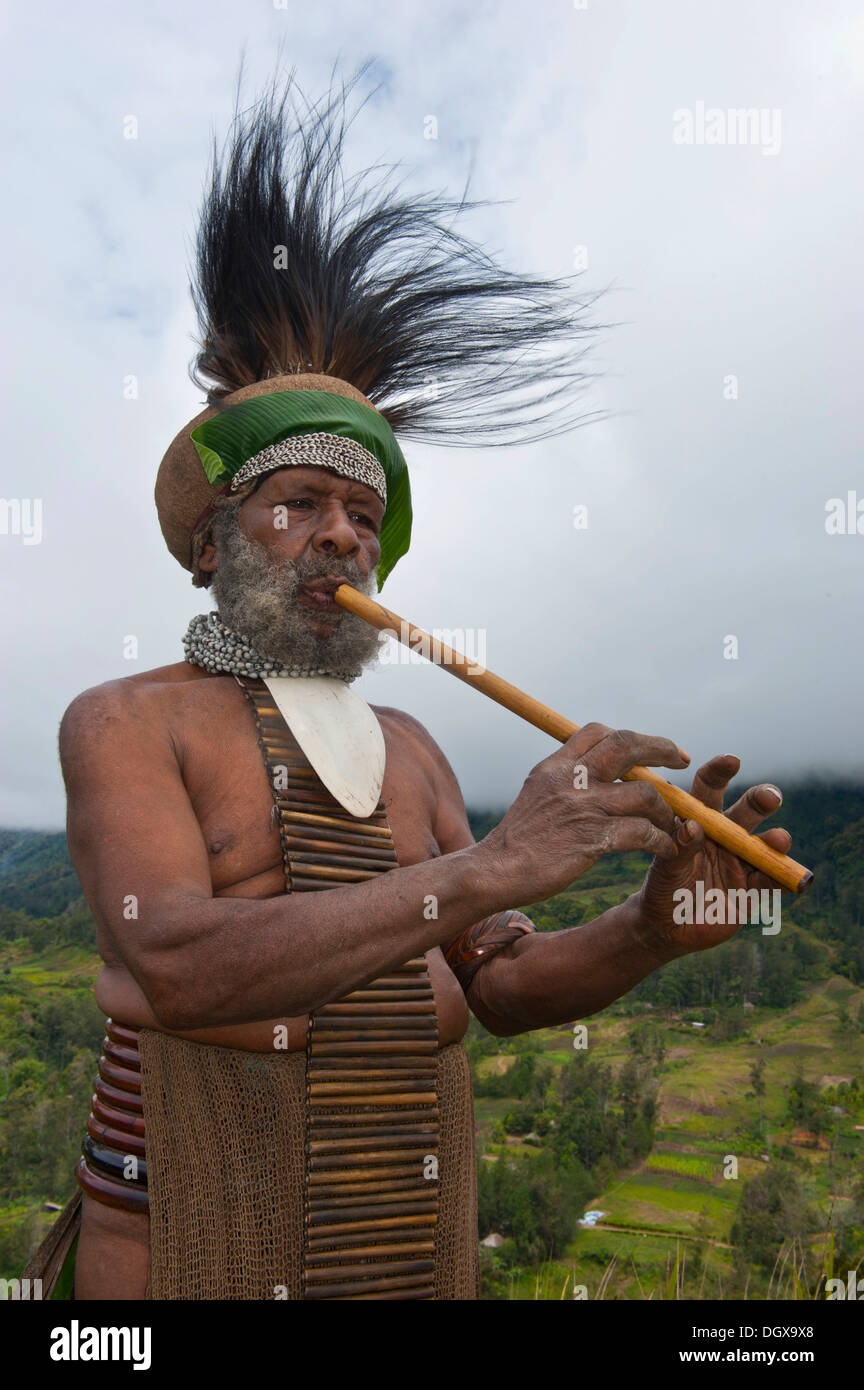 Traditionell gekleidete Stammesführer im Hochland, Paya, Highland, Papua New Guinea Stockfoto