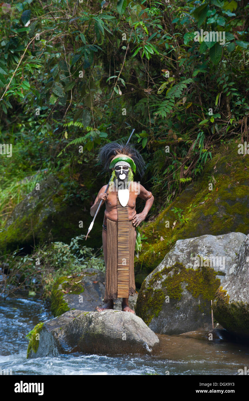 Dekorierte und bemalte Stammesführer in die Highlands, Paya, Highland, Papua-Neuguinea Stockfoto