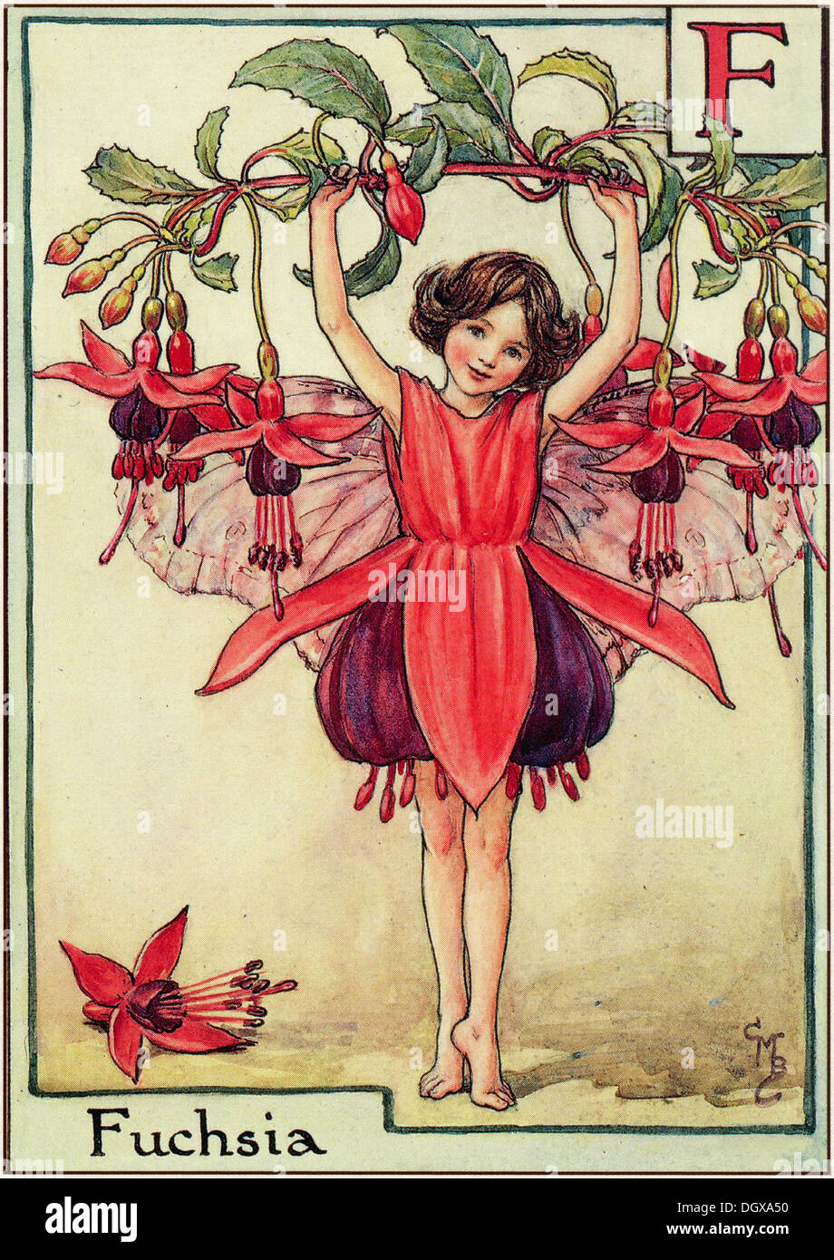Flower Fairies Illustration von Cicely Mary Barker - Fuchsia Fee, 1934 Stockfoto