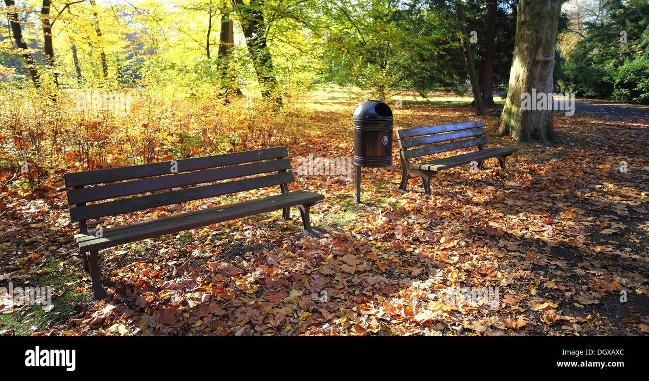 Zwei Parkbänke in gefallenen Herbst Blätter Stockfoto