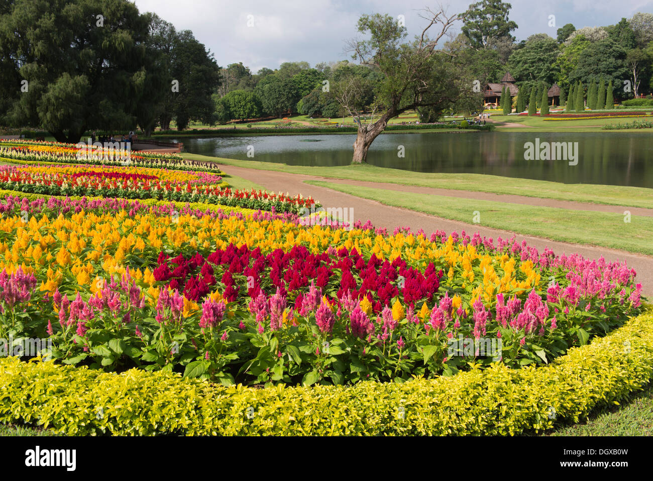 Die National Kandawgyi Botanical Gardens sind ein weltweit anerkannter Botanischer Garten in Pyin Oo Lwin, Myanmar. Stockfoto