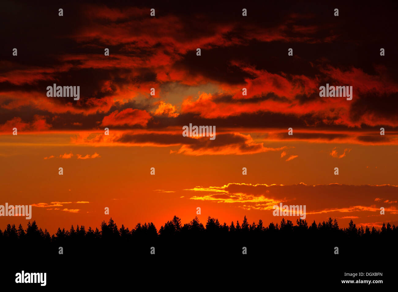 Nachleuchten nach Sonnenuntergang, Mittel-Finnland, Finnland Stockfoto