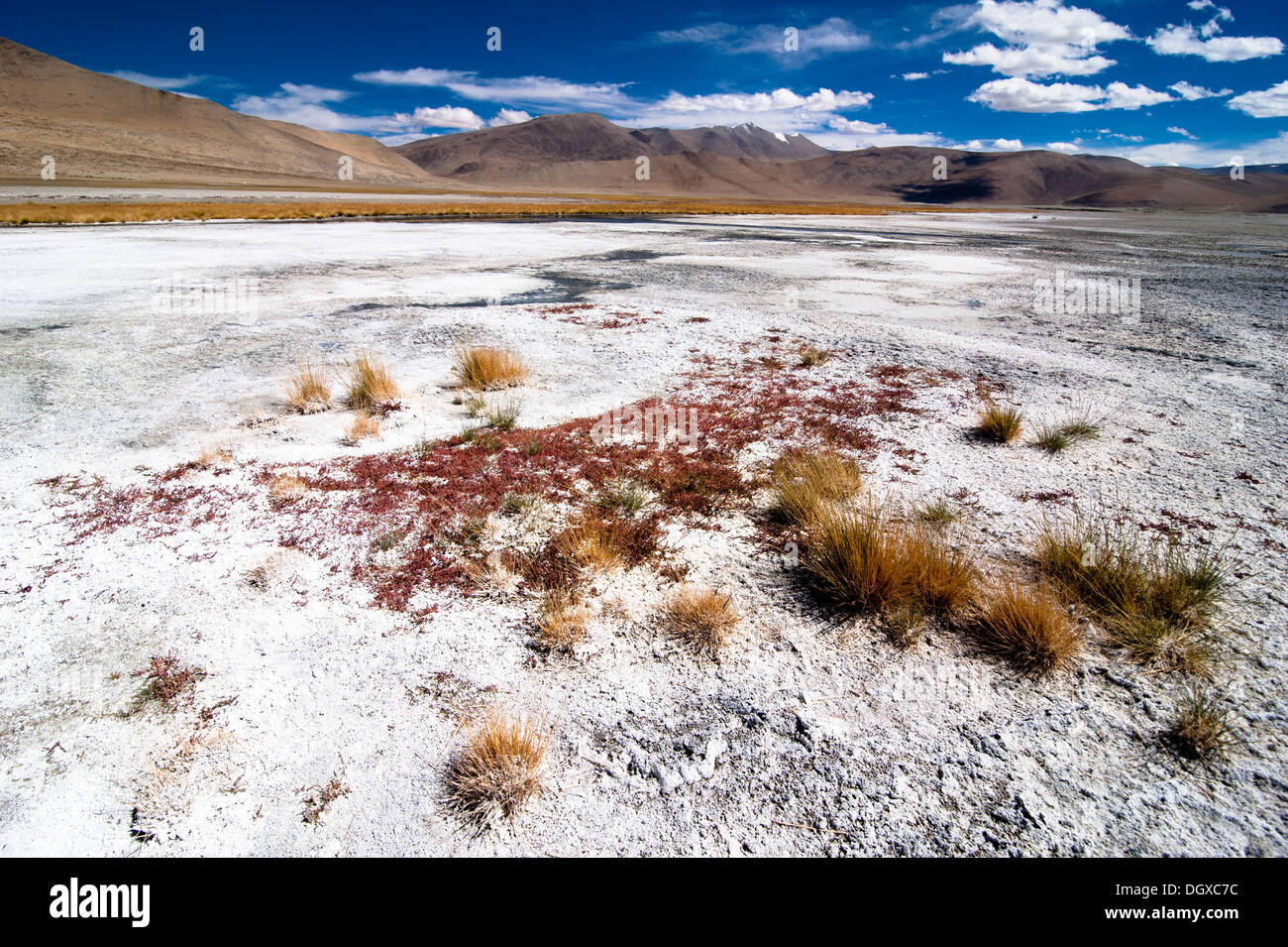 Himalaya Hochgebirge Landschaft Panorama mit Salz See Tso Kar unter blauem Himmel. Indien, Ladakh, Höhe 4600 m Stockfoto