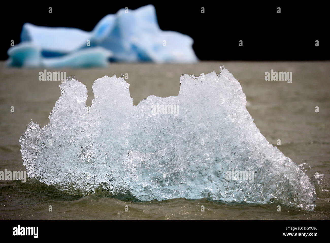 Eisberge im Wasser, Lago Grey, Patagonien, Chile, Südamerika Stockfoto