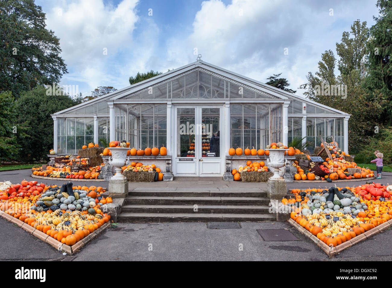 Herbst Ernte der Kürbisse & kürbisse an der Seerose Haus-Display angezeigt. Bei 'The Incredibles' essen Ausstellung - Kew Gardens, London, UK Stockfoto