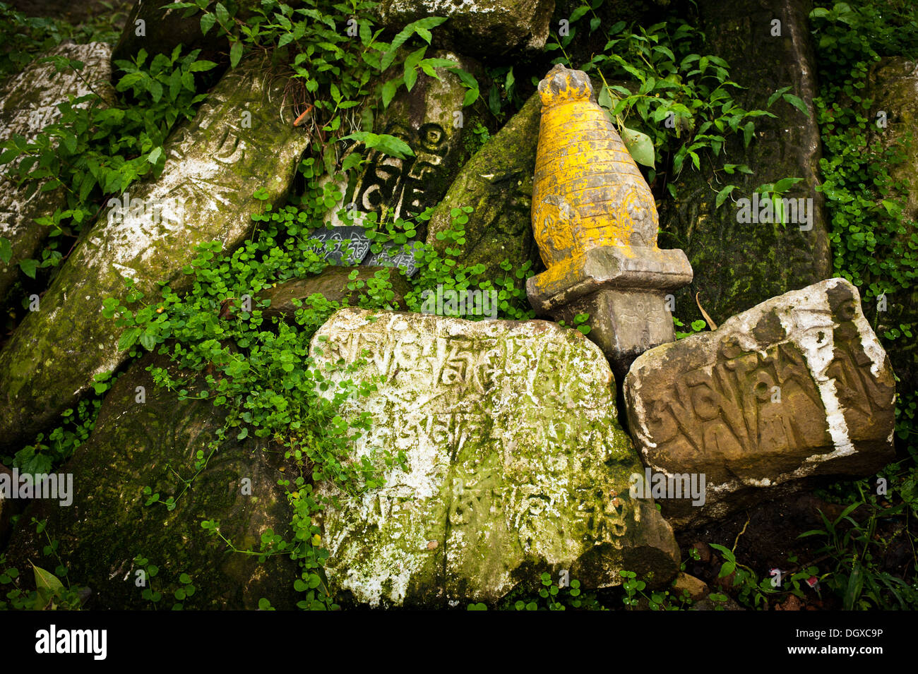 Alten buddhistischen Gebet Steinen mit schriftlichen mantra Stockfoto