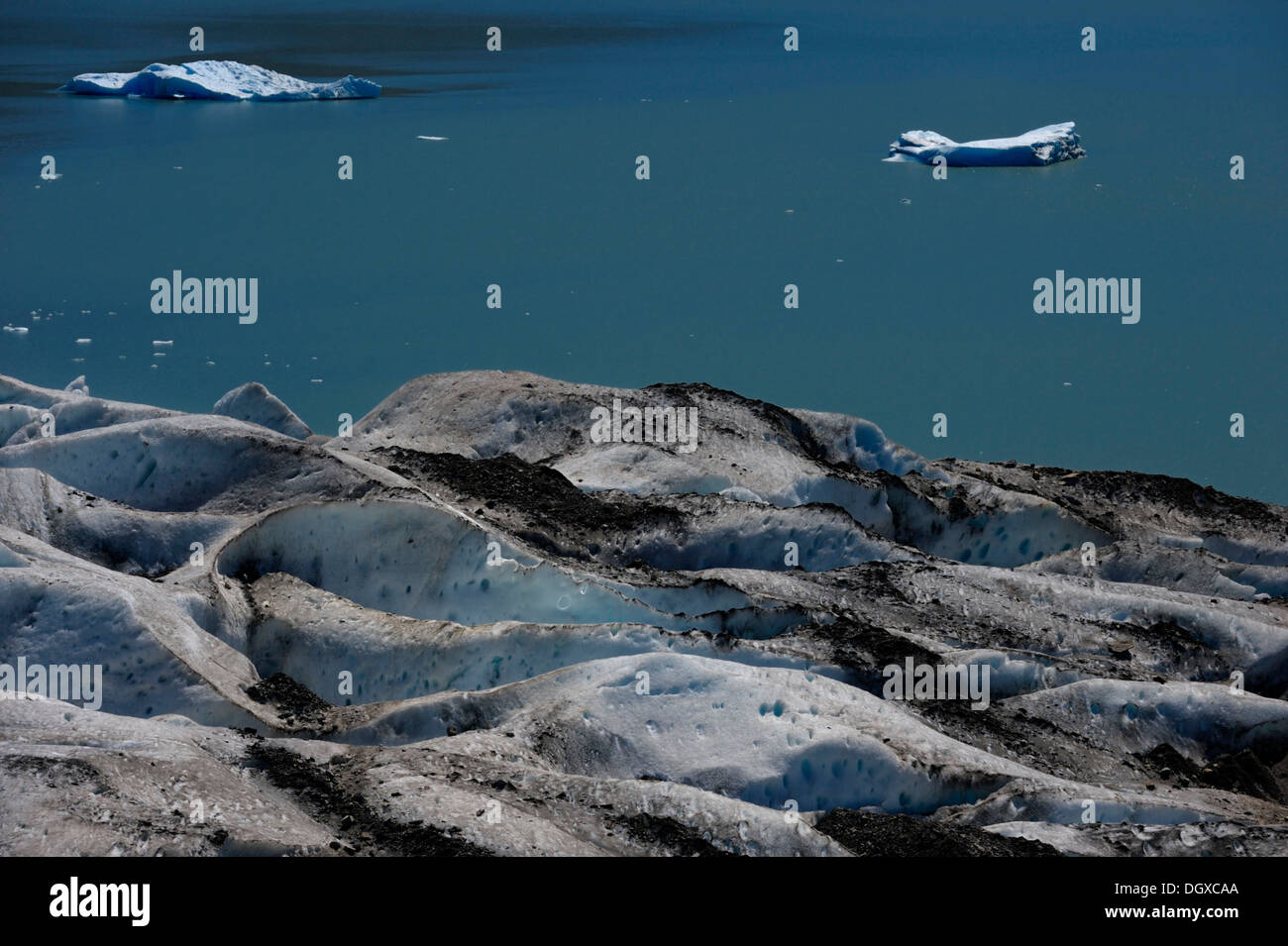 Detail, Viedma Gletscher mit Gletschersee Lago Viedma, El Chalten, Patagonien, Anden, Argentinien, Südamerika Stockfoto