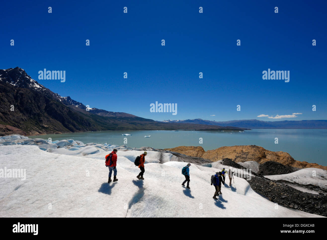 Gletschertrekking, Viedma Gletscher, El Chalten, Patagonien, Anden, Argentinien, Südamerika Stockfoto