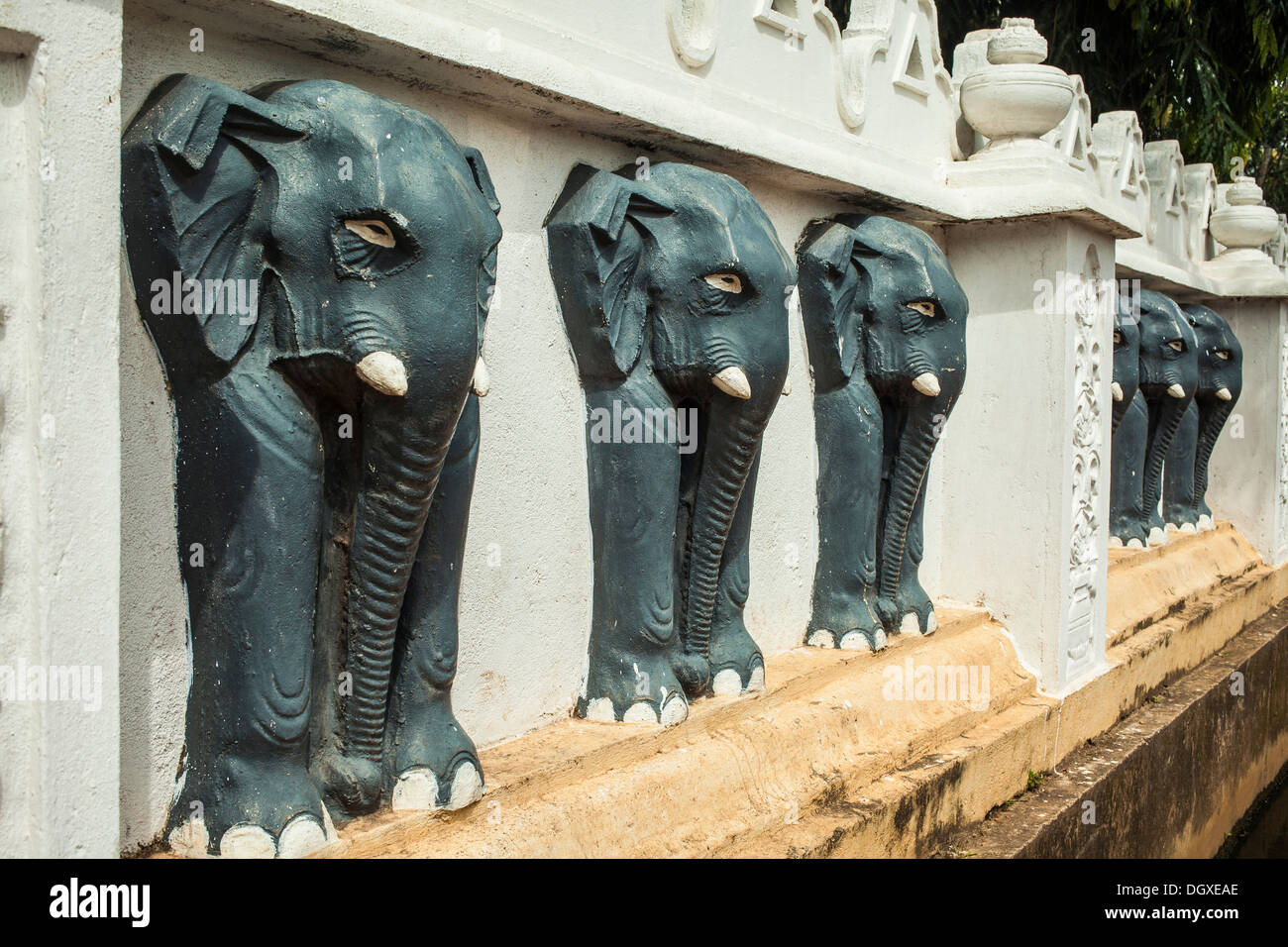 Schwarz-Elefanten an Wand im buddhistischen Tempel Löwenmaul in Negombo Stockfoto