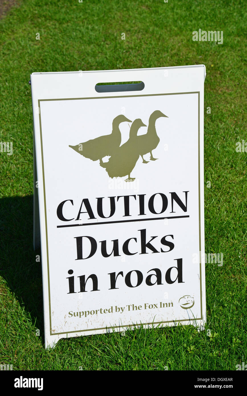 "Achtung Enten in Straße" Zeichen auf grün, Finchingfield, Essex, England, Vereinigtes Königreich Stockfoto
