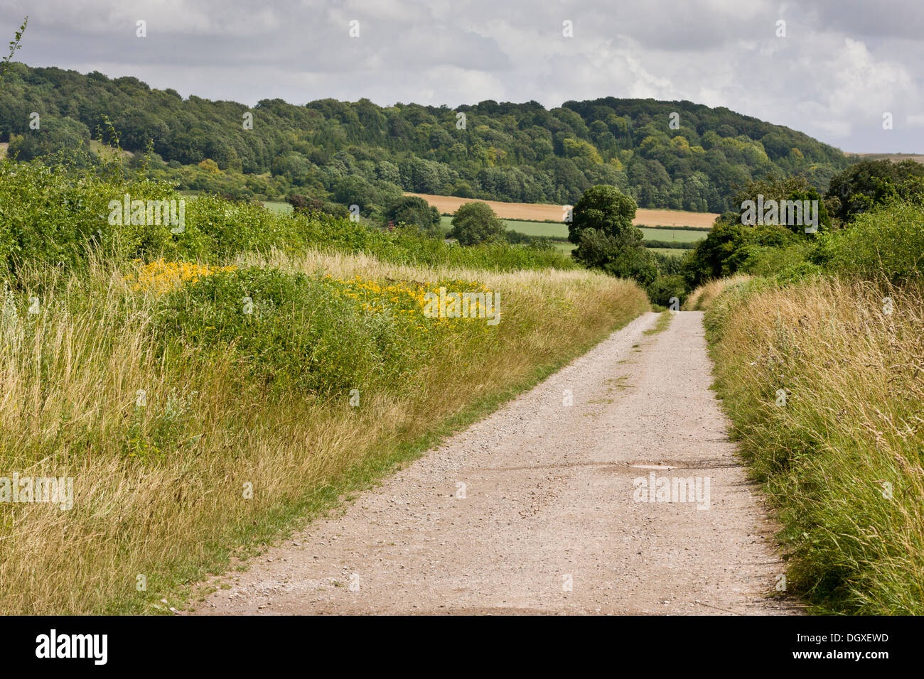 shipton-bellinger-hampshire-fotos-und-bildmaterial-in-hoher-aufl-sung