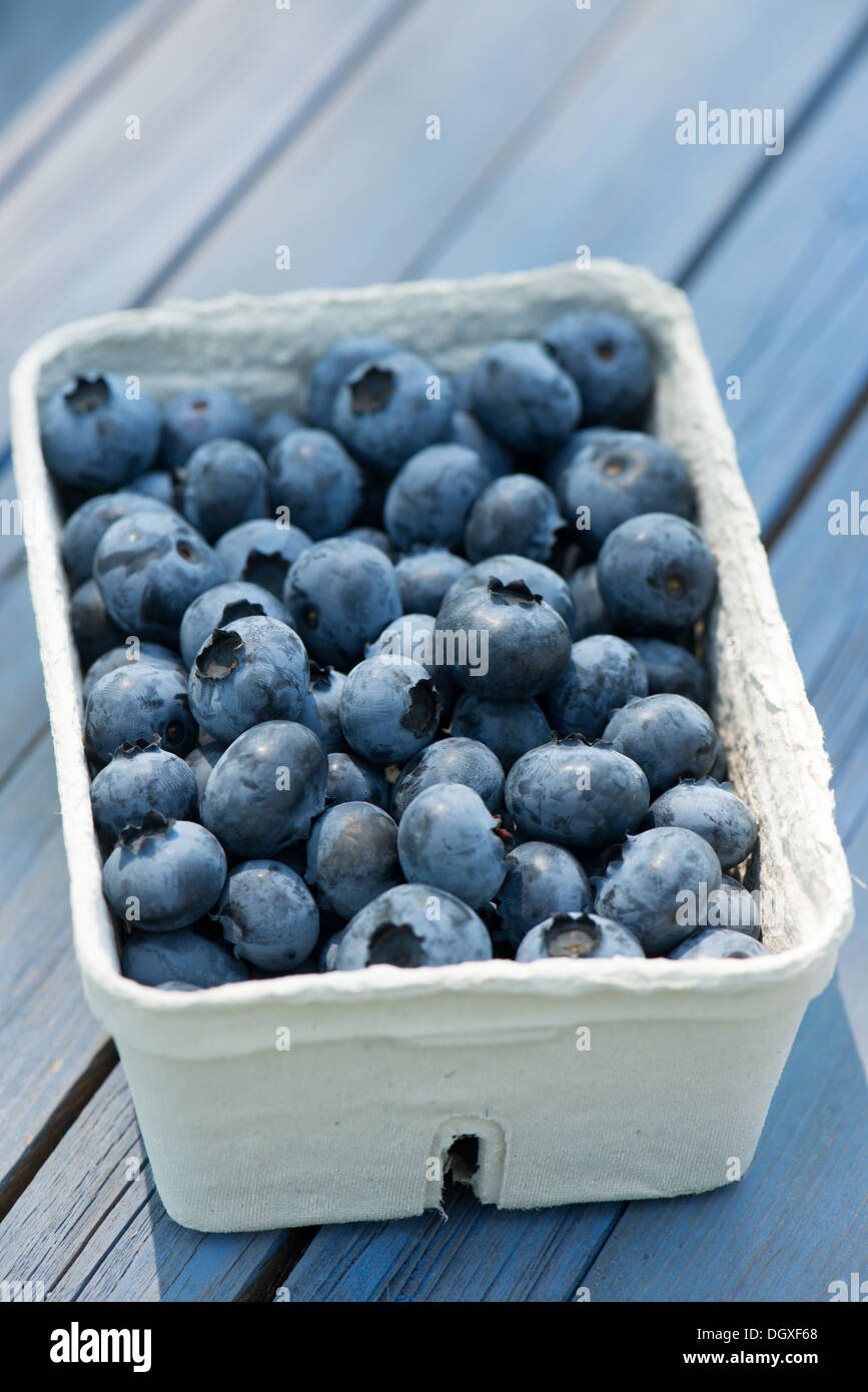 Frische Heidelbeeren in Obstschale Stockfoto