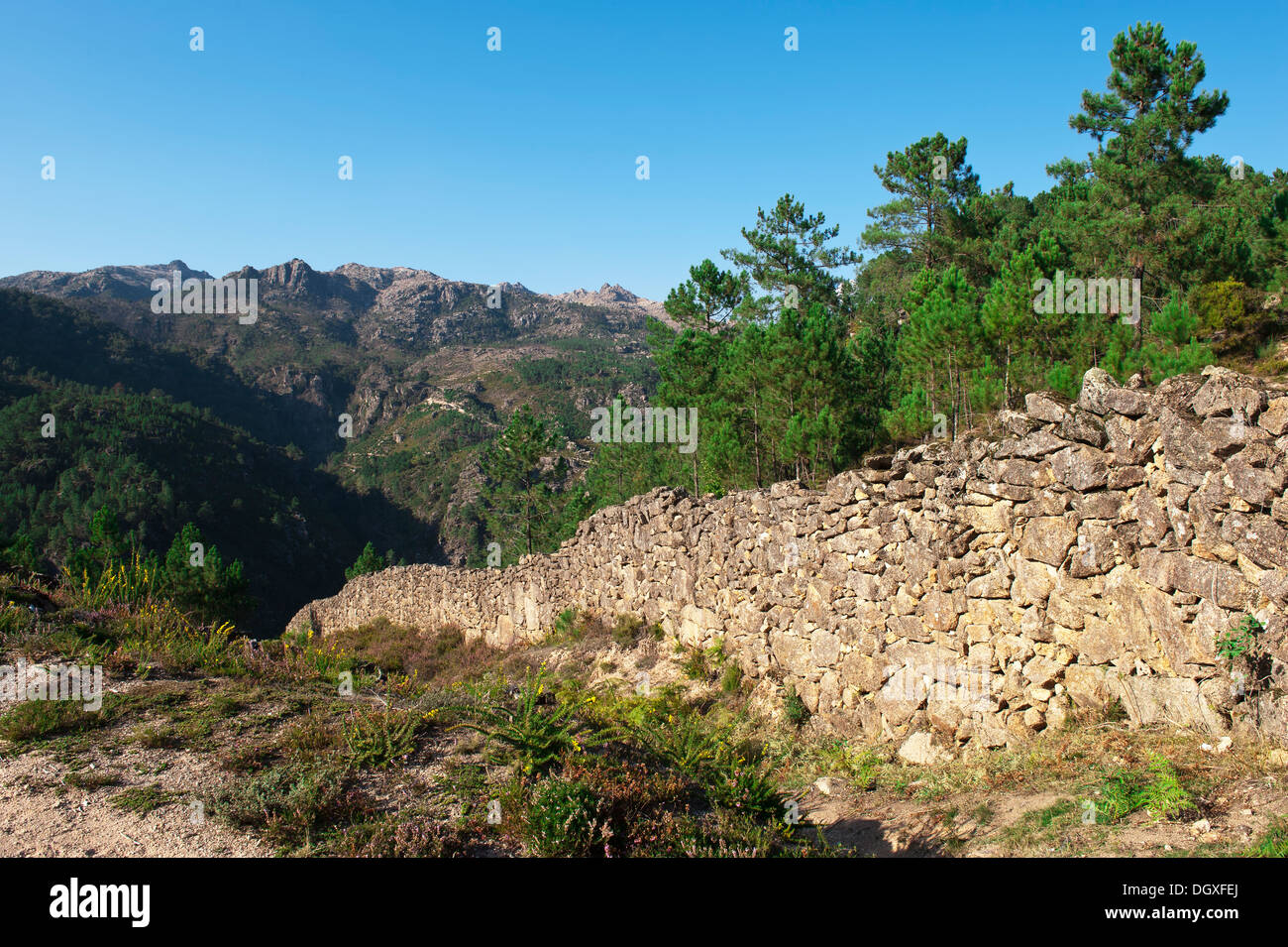 Peneda Geres Nationalpark, Provinz Minho, Portugal Stockfoto
