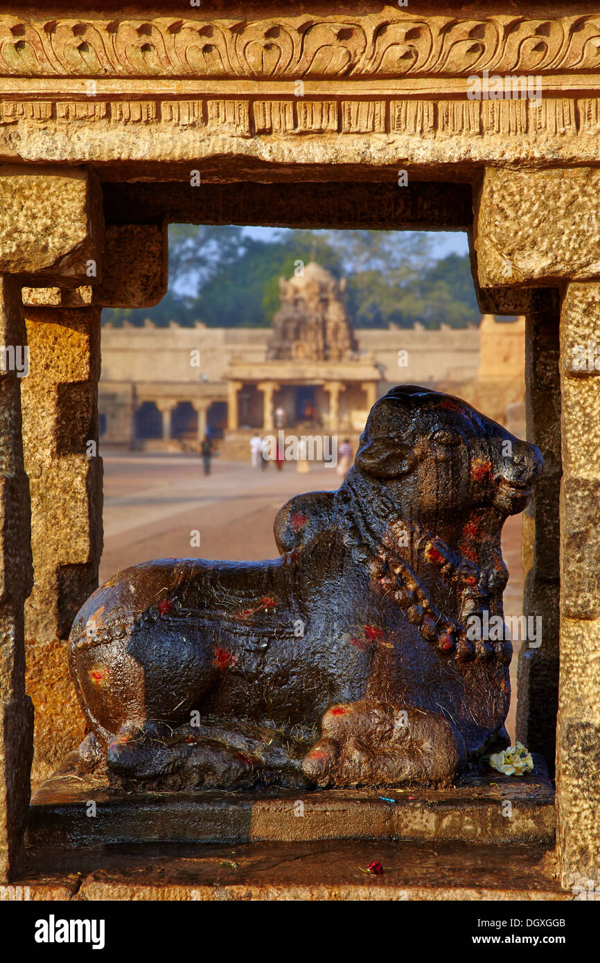 Nandi-Statue in der Brihadeeswarar-Tempel in Thanjavur Stockfoto