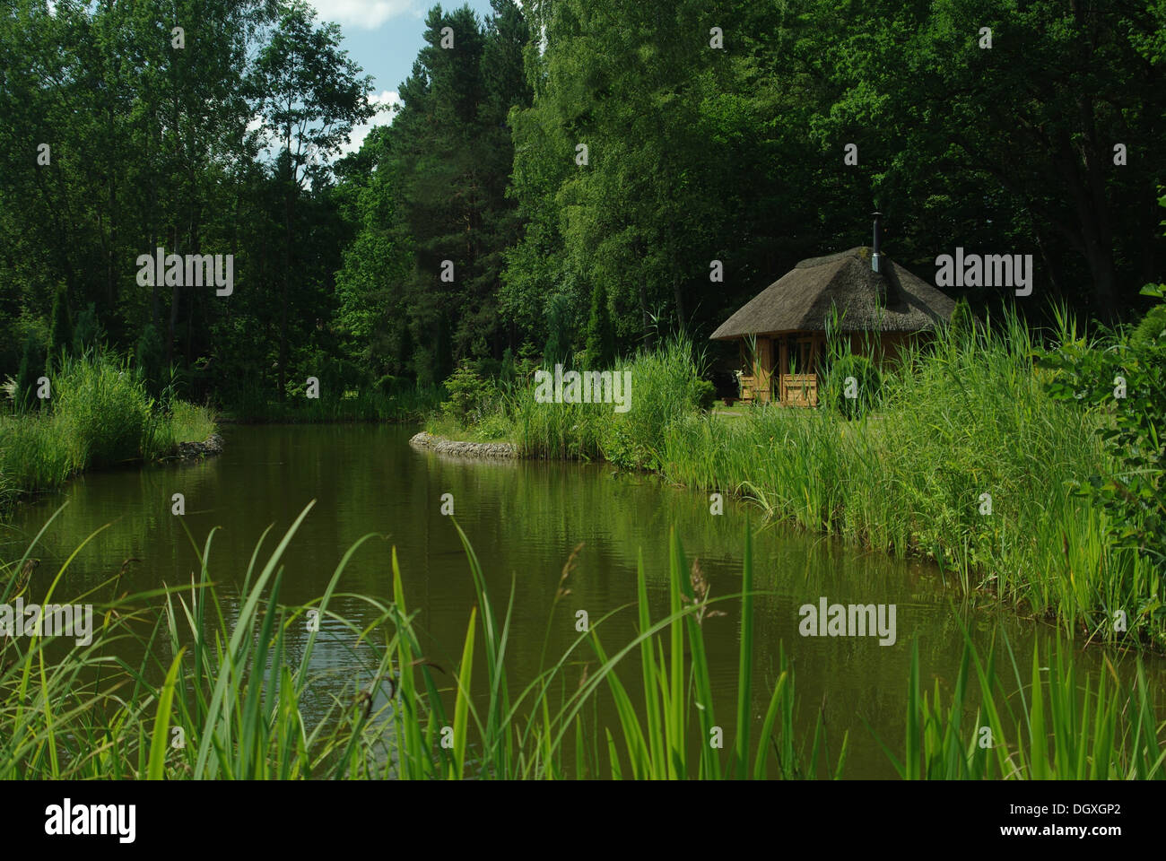 Dachgarten mit teich Fotos und Bildmaterial in hoher Auflösung Alamy
