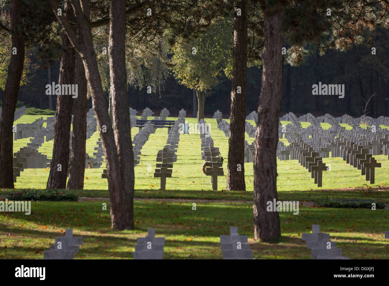 Zeilen von Grabsteinen auf dem deutschen Soldatenfriedhof in Ysselsteyn in den Niederlanden Stockfoto