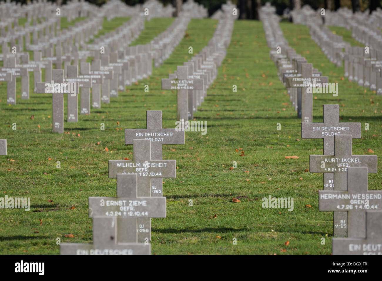 Zeilen von Grabsteinen auf dem deutschen Soldatenfriedhof in Ysselsteyn in den Niederlanden Stockfoto