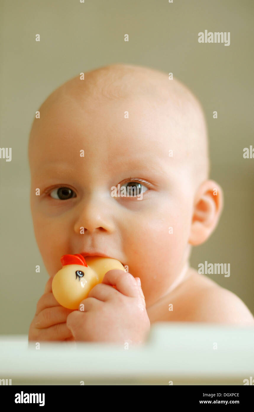 Baby mit einer Gummiente in den Mund Stockfoto