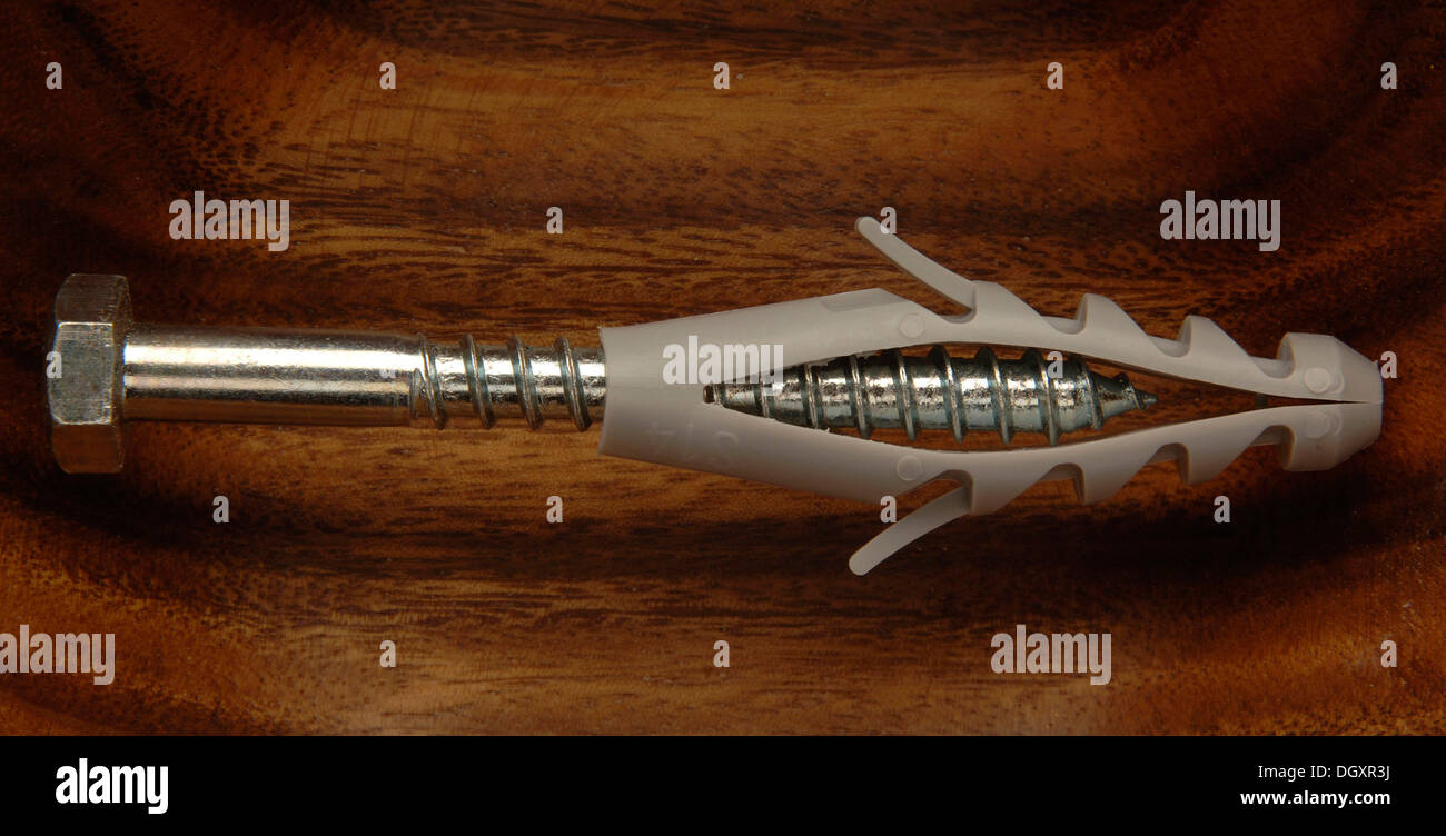 Ein Kunststoff Dübel einschrauben Stockfoto