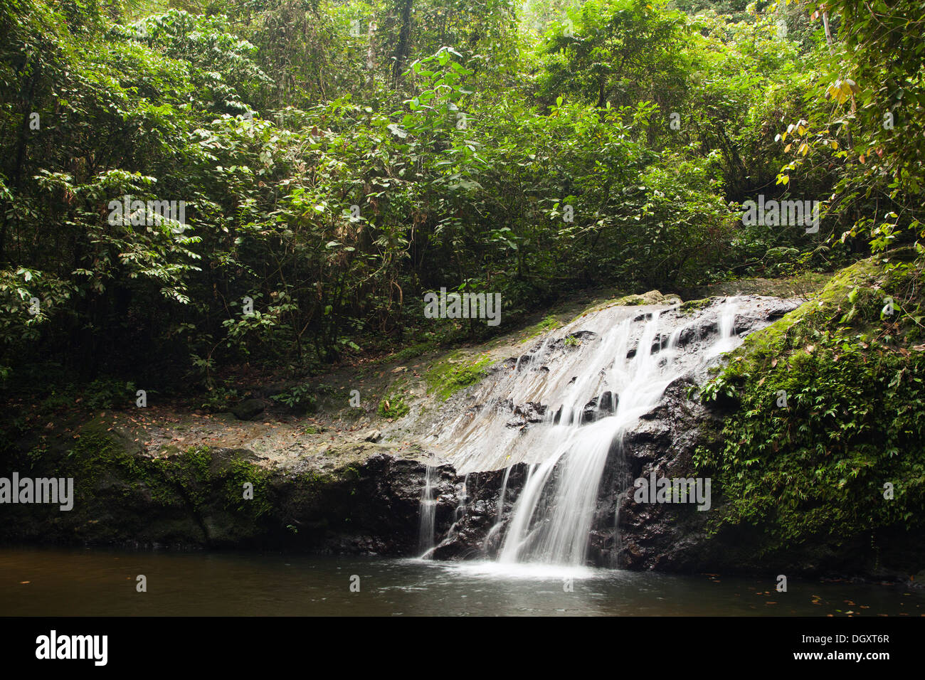 Wasserfall im borneanischen Tiefland tropischen Regenwald, Sabah, Borneo, Malaysia Stockfoto