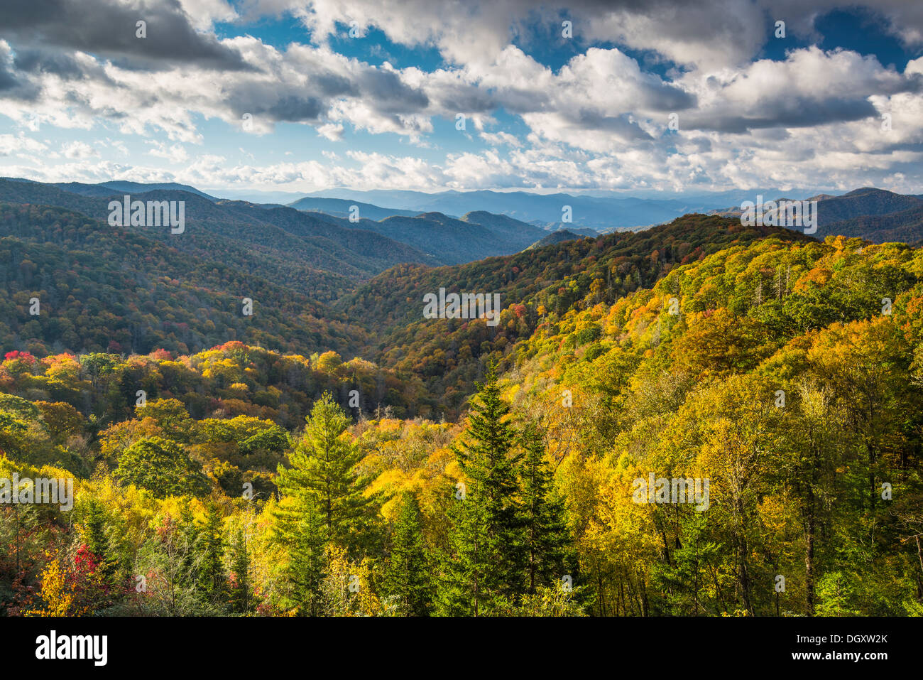 Smoky Mountains Landschaft am Newfound Gap im Herbst. Stockfoto