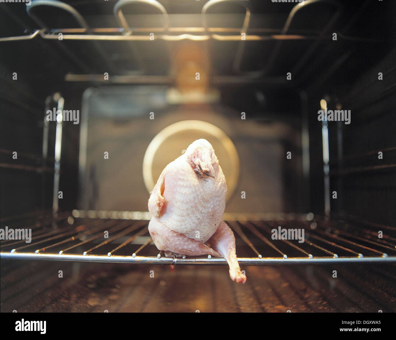 Gezupfte Wachtel mit seiner in einem Bräter Backofen gekreuzten Beinen sitzen Stockfoto