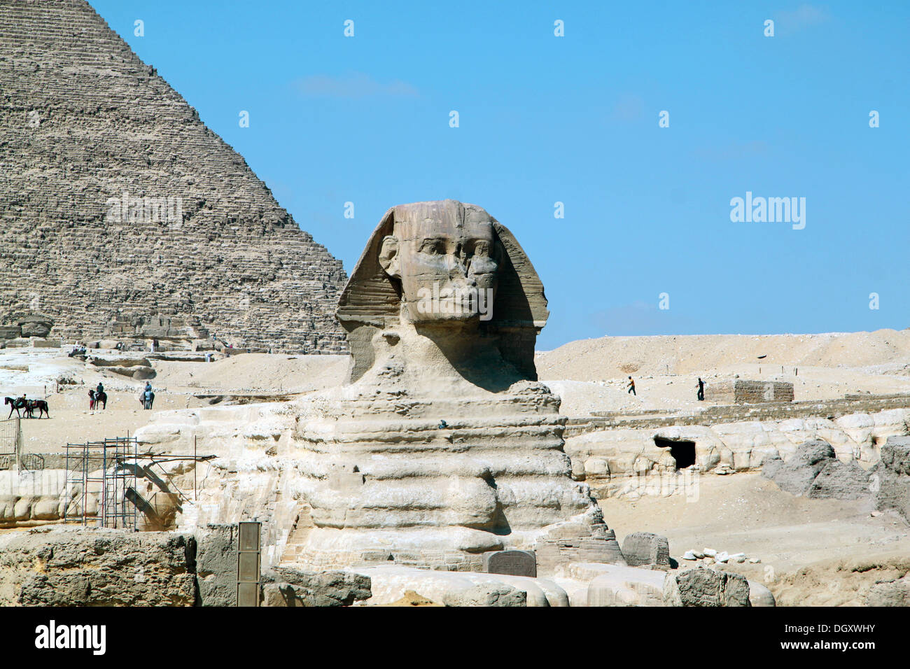 Sphinx in Ägypten in Kairo Stockfoto